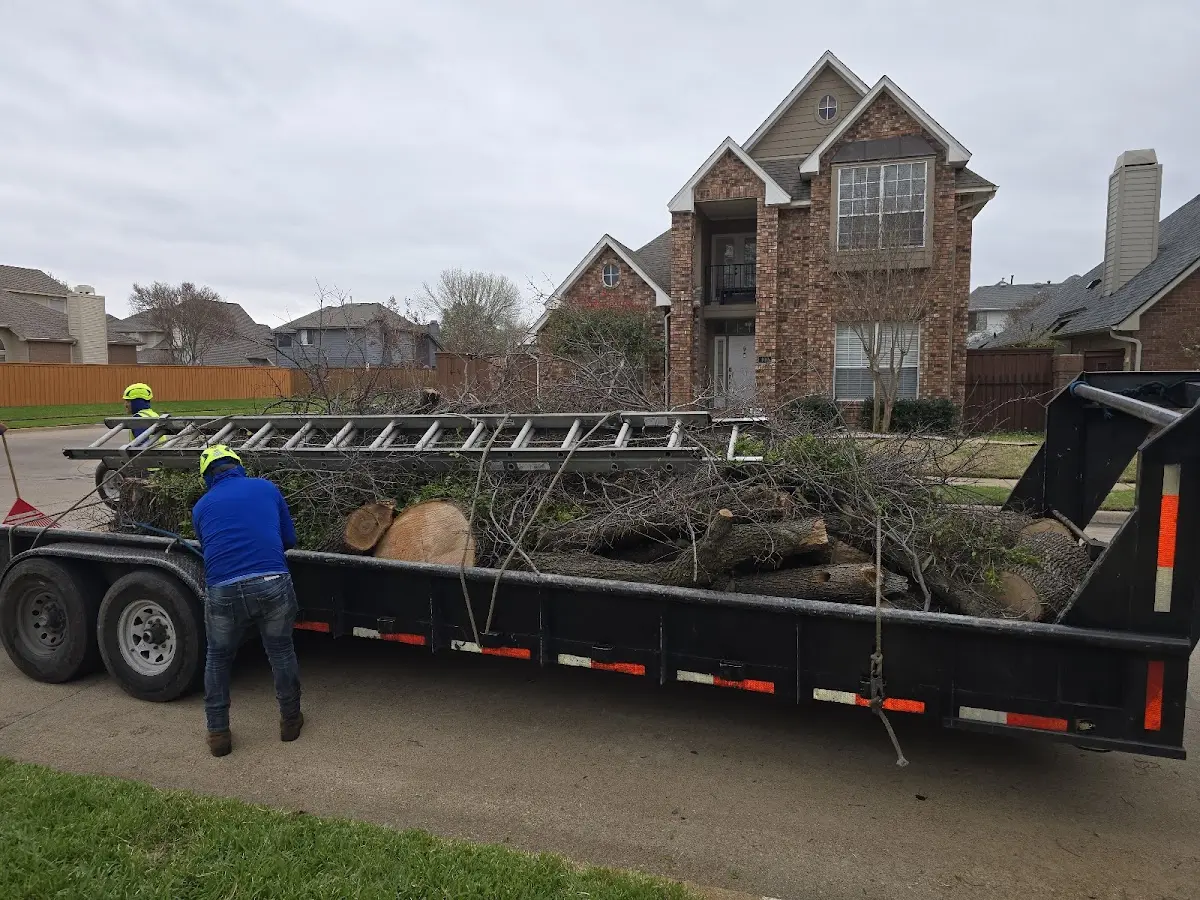 Expert Tree Fertilization with proper safety equipment in Bernice